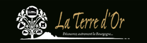 La Terre d'Or hotel logohotel logo