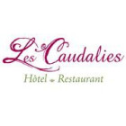 Hôtel-Restaurant Les Caudalies hotel logohotel logo