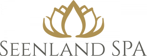 Streu SPA hotel logohotel logo